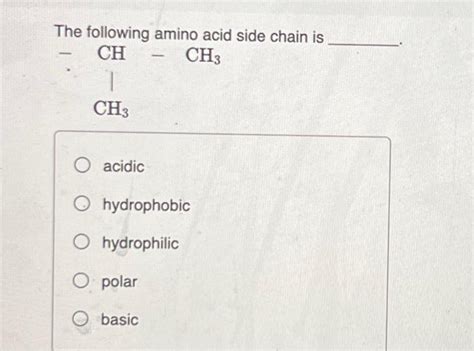 The Following Amino Acid Side Chain Is Acidic