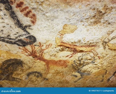 Photograph of Prehistoric Drawings of Animals Stock Image - Image of ...