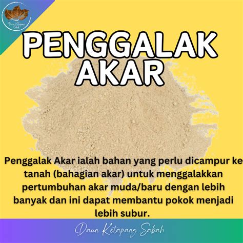 1kg Baja Penggalak Akar Rock Phosphate Shopee Malaysia