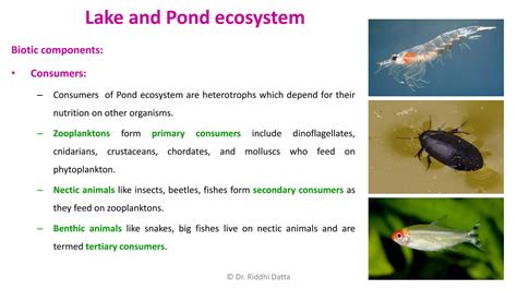 Types of Ecosystems | PPT