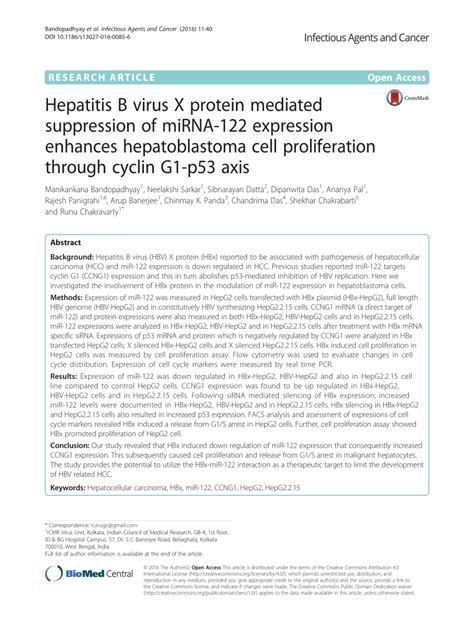 Pdf Hepatitis B Virus X Protein Mediated Suppression Of Mirna 122