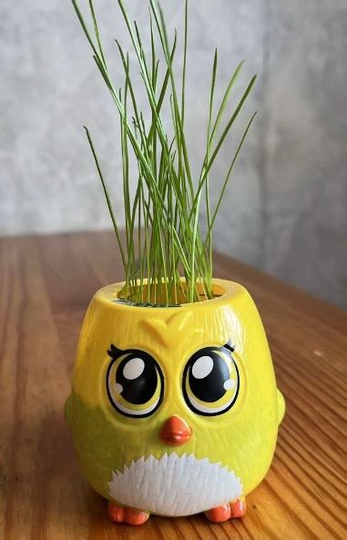 Набор для опытов "Выращиваем травку" - | Бесплатный Ижевск