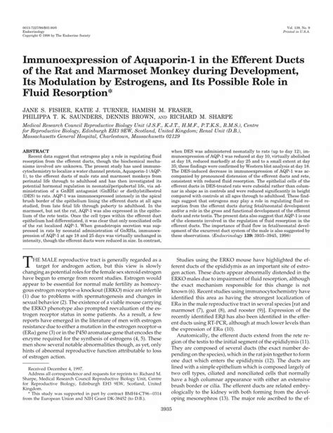 Pdf Immunoexpression Of Aquaporin In The Efferent Ducts Of The Rat