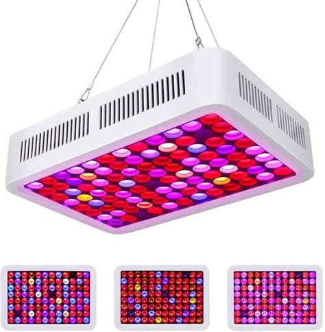 Las mejores LÁMPARAS LED para cultivo interior GUÍA 2025