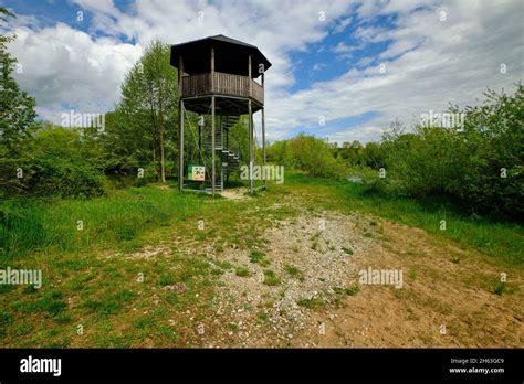 observation tower   bird sanctuary  nature reserve gray heron
