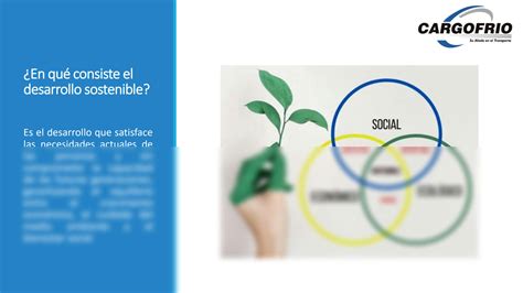 Solution Responsabilidad Social Empresarial Studypool