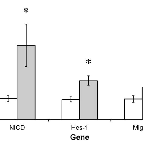 Effect Of Myostatin Inhibition Through Receptor Mutation ActrIIb And