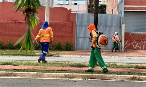 Prefeitura inicia força tarefa contra mato alto em vias de Goiânia