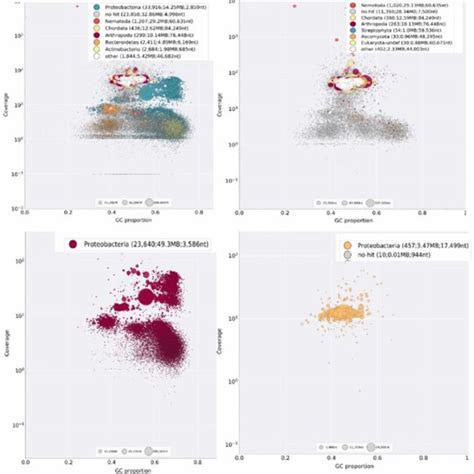 Graphical display of bacterial genome annotation. (A) Circular ... 