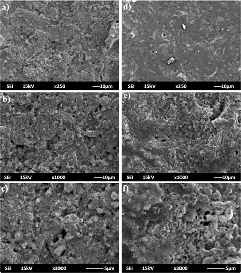 SEM Morphologies Of The Ac BCP Only And Df BCP TiO2 Coated TNTZ