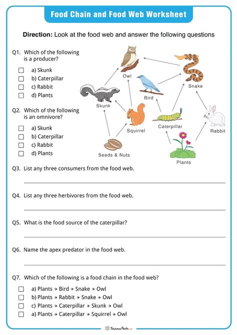 Food Webs And Food Chains Worksheets Free Pintables Worksheets Library