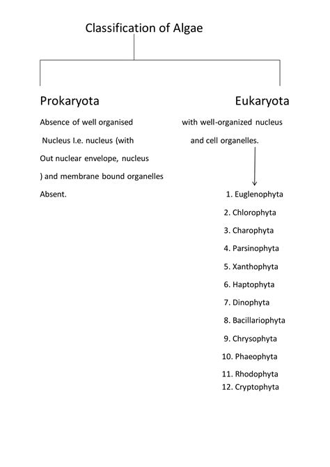 Classification of algae | PDF