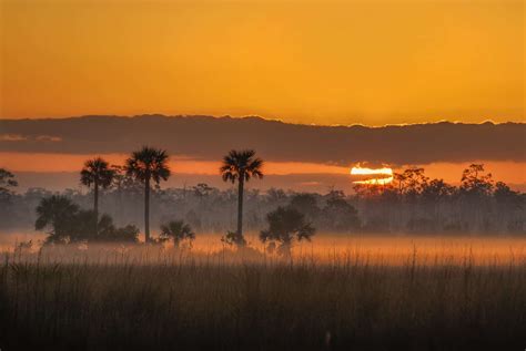 Florida Trail FEST – Florida Trail Association