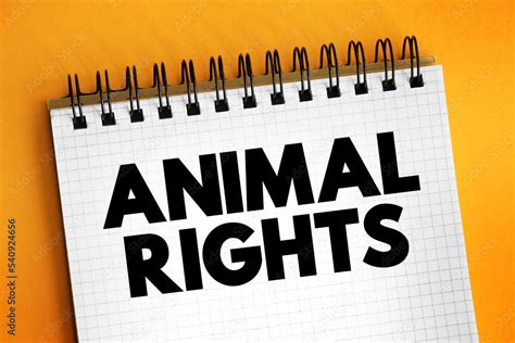 Animals Have Rights