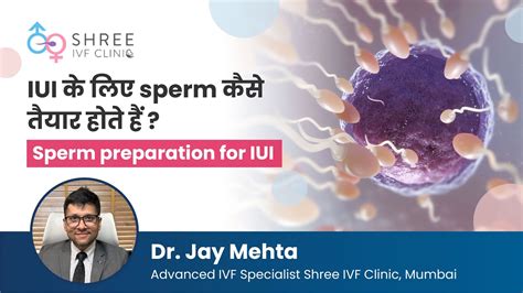 Iui के लिए Sperm कैसे तैयार होते हैं Sperm Preparation For Iui Dr