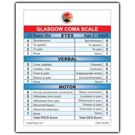 Salt Triage Glasgow Coma Scale Cards