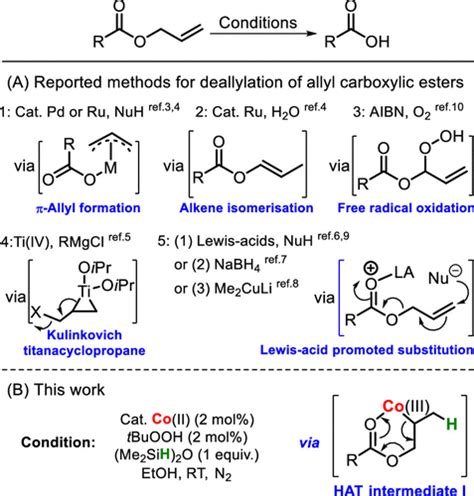 Allyl Functional Group