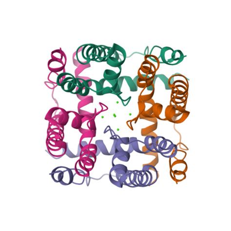 RCSB PDB 5CBH Structural And Functional Characterization Of A