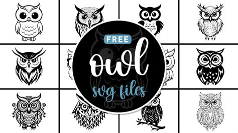 Free Owl Svg Files World Of Printables