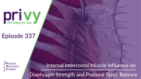 Ep. 337 - Internal Intercostal Muscle Influence on Diaphragm Strength and Postural Static ...