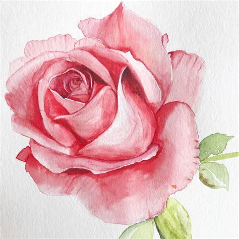 Watercolor Painting Tips Master The Art Of Flower Painting