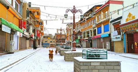 Leh Main Market Travel And Shopping Guide Ladakh