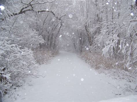 Americas Favorite Photos Competition Page Snowy Lane Terrye