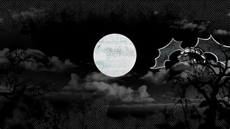 Ava Sparxxx Model Page XVIDEOS