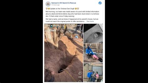 Blind Deaf Dog Rescued After Being Suck In Hole In Arizona Raleigh