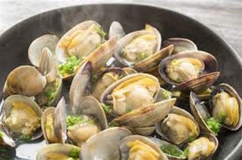 Clams 6 Ultimate Health Benefits