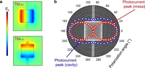 Polarization Dependence Of The Photoresponse A Finite Element