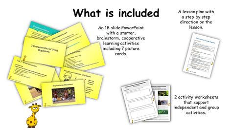 Great Worksheet - 7 Characteristics of Living Organisms - Identify the ...