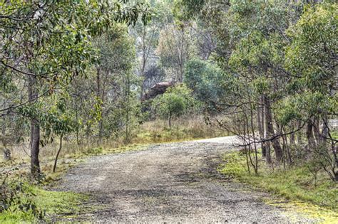 Tracks and Trails – Woodlands Historic Park