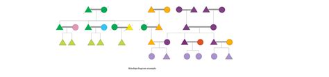 Kinship Diagram EdrawMax Template