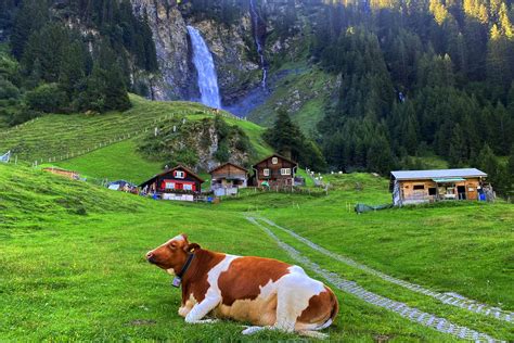 Switzerland Waterfalls