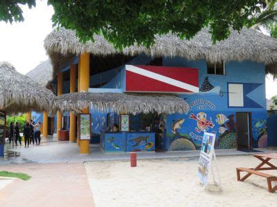 Snorkeling in BAYAHIBE with Dressel Divers