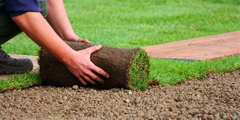 Almacenamiento Y Cuidados Del Césped Natural En Tepes Arpasa