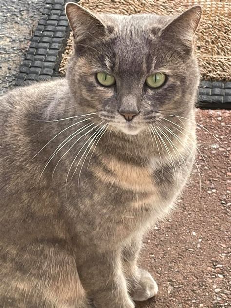 State Gazette - Home | Facebook