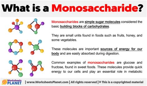 What is a Monosaccharide?