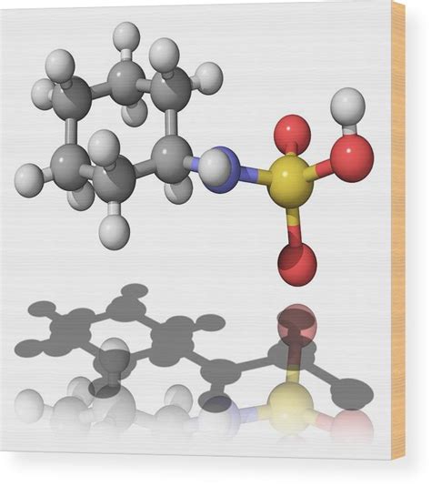 Cyclamate Structure