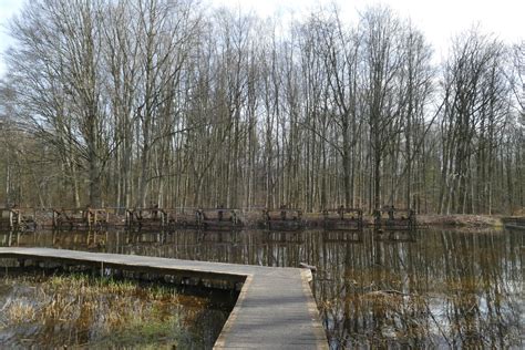 Nederland Waterland Waterloopbos Tsjiess