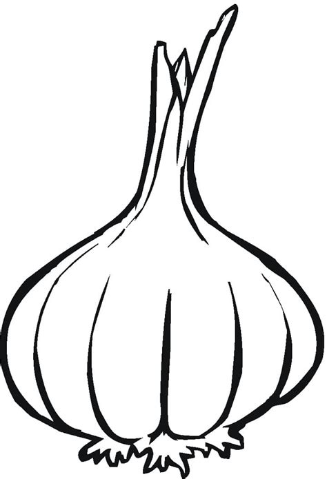 Desenho De Alho Vegetal Para Colorir Tudodesenhos The Best Porn Website