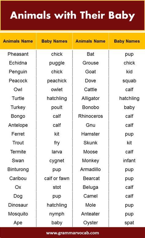 Animals with Their Baby Name - GrammarVocab