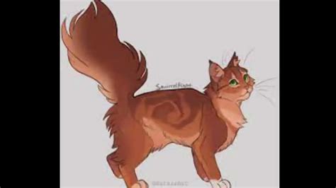 Bramblestar x squirrelflight - YouTube