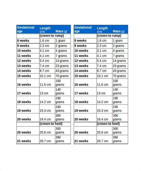 Womb Baby Growth Chart: A Visual Reference of Charts | Chart Master