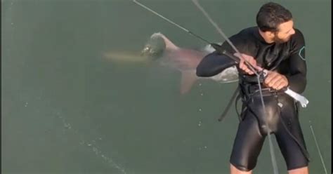 Vídeo aterrorizante mostra tubarão perseguindo kitesurfista não é