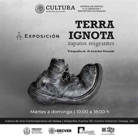 Exposición Terra Ignota