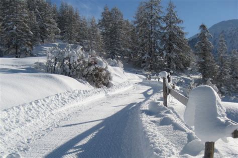 Schlittelweg Munt Baselgia Zernez Winter In Engadin St Moritz