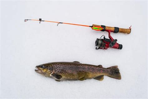 7 Best Ice Fishing Lures for Trout (My Top Picks for 2024)