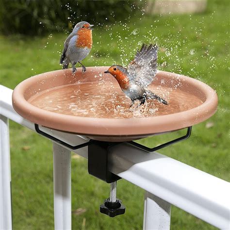 Bains Pour Oiseaux Sauvages